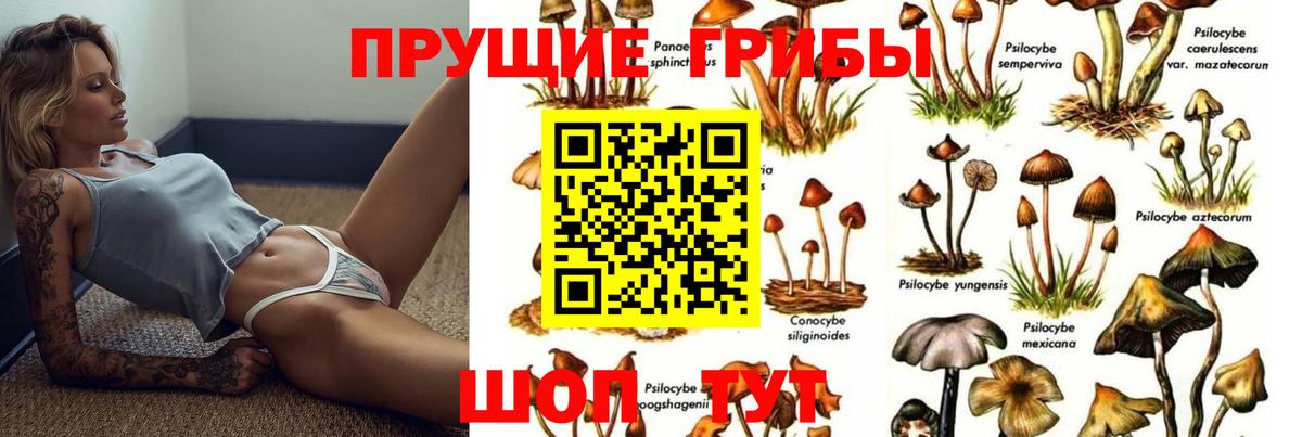 Галлюциногенные грибы Psilocybine cubensis  Вход с VPN  Чебоксары 